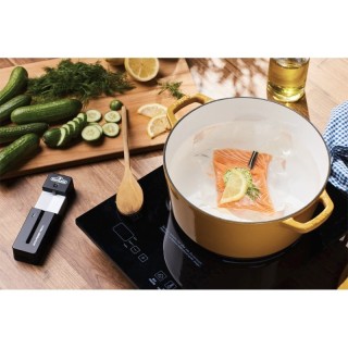 Θερμόμετρο ακριβείας ACCU-PROBE PRO X - 70130