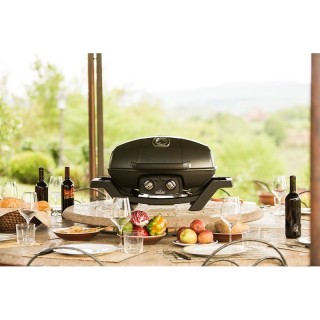 Φορητή Ψησταριά Υγραερίου Napoleon TravelQ PRO285 - PRO285-BK-GR