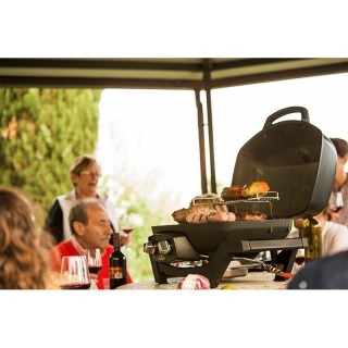 Φορητή Ψησταριά Υγραερίου Napoleon TravelQ PRO285 - PRO285-BK-GR